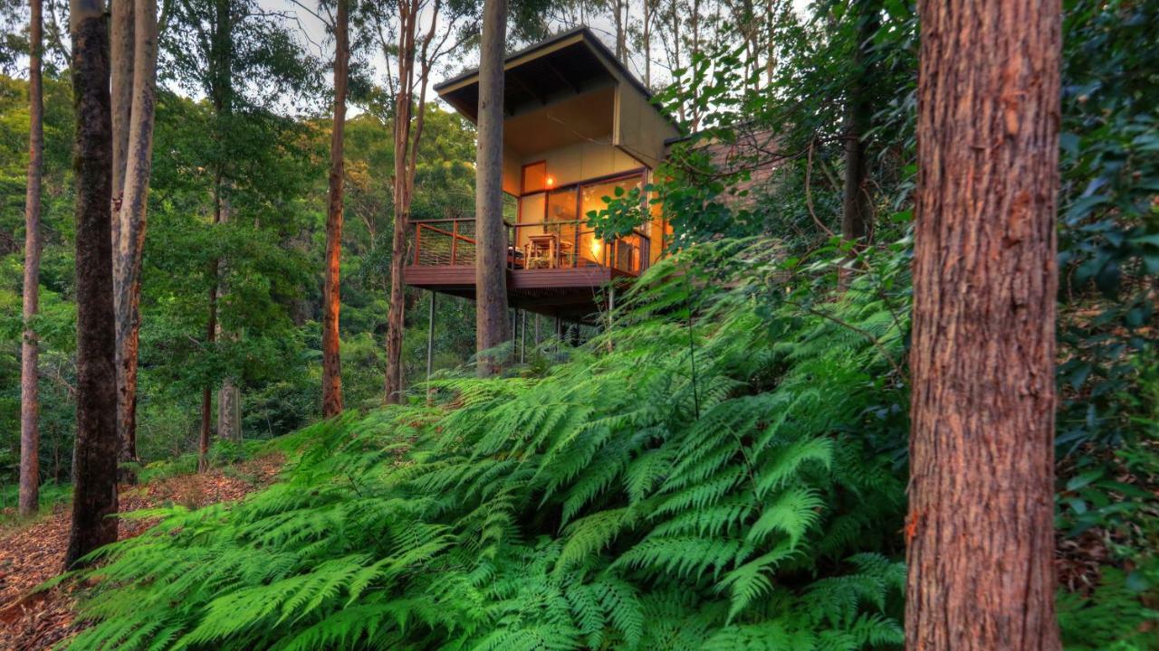 Montville Ocean View Cottages Dış mekan fotoğraf